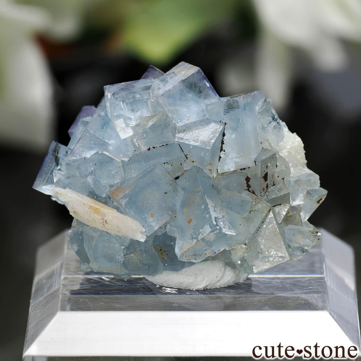 アメリカ ニューメキシコ州 Royal Flush Mine産 ブルーフローライト