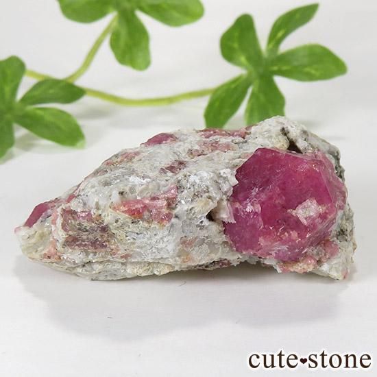 ラズベリーガーネット（灰礬柘榴石）の原石（鉱物標本） - cute stone -