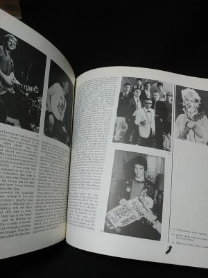 HARDCORE CALIFORNIA A HISTORY OF PUNK AND NEW WAVE PETER BELSITO