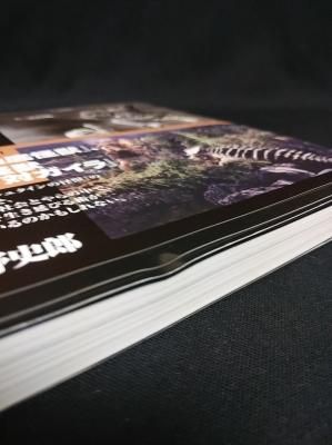 東宝版フランケンシュタインの怪獣 完全資料集成 岸川靖 編 洋泉社