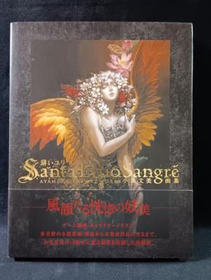 緋いユリ Santa Lilio Sangre : 小島文美画集 小島文美 飛鳥新社 ※帯