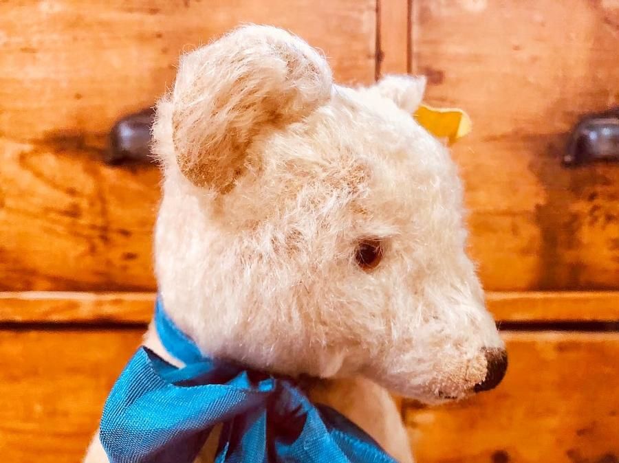 ドイツ シュタイフ Steiff社 - アンティークとテディベアの店 Parade