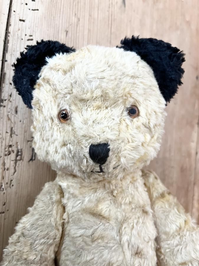 sooty スーティーベア - アンティークとテディベアの店 Parade（パラード）