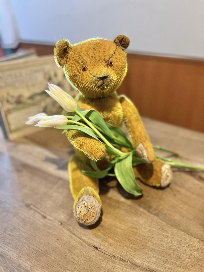 アメリカ - アンティークとテディベアの店 Parade（パラード）