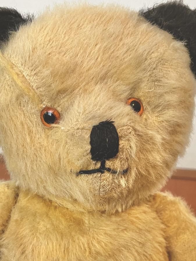 イギリス スーティーベア - アンティークとテディベアの店 Parade