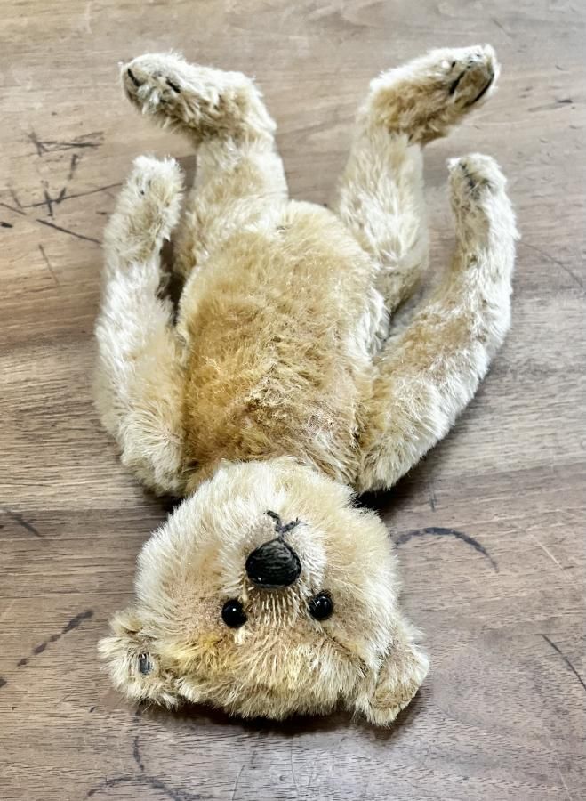 シュタイフ アンティークベア - アンティークとテディベアの店 Parade