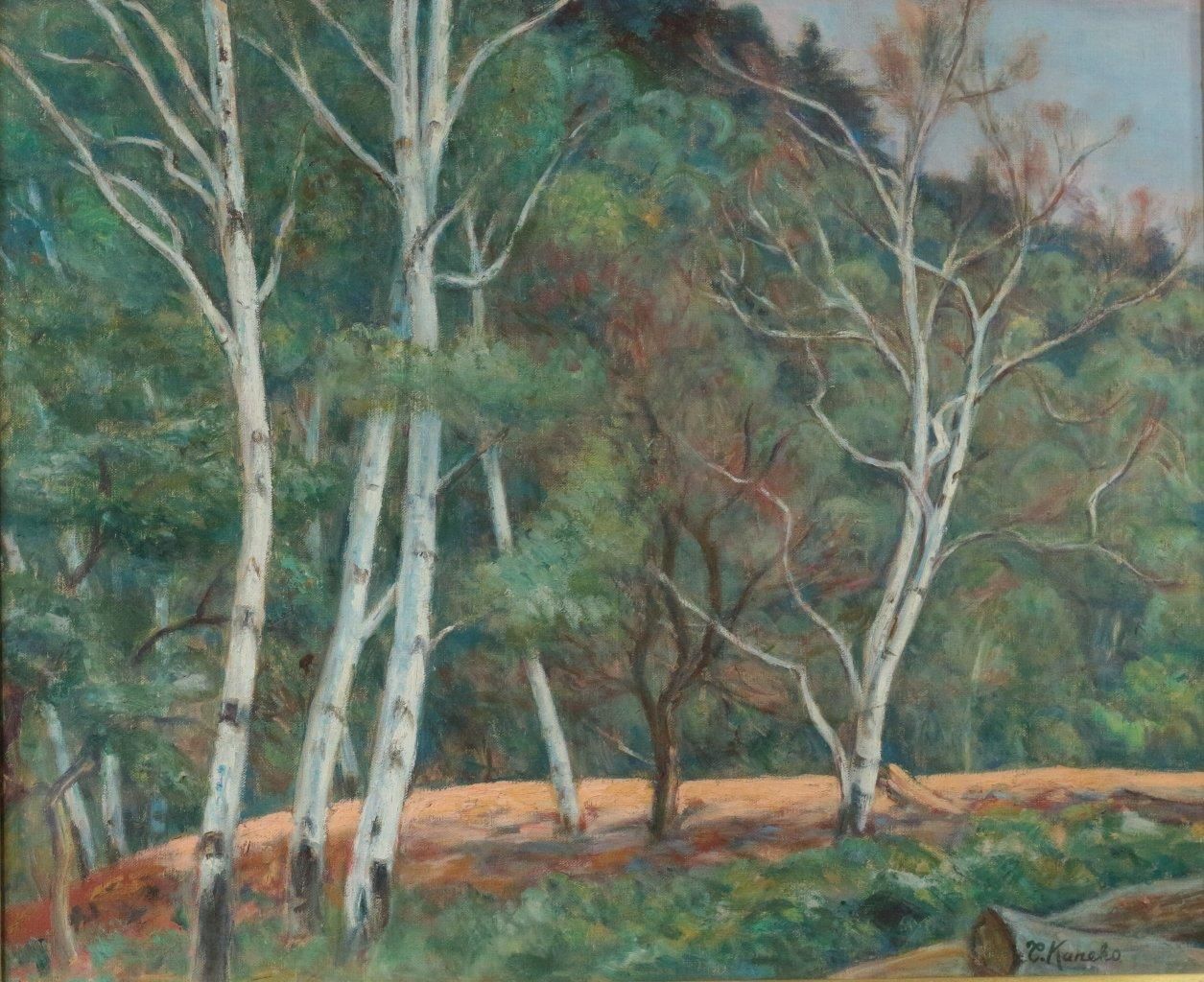 油彩 金子保 「白樺風景 F15」 商品番号06100201 - 絵の