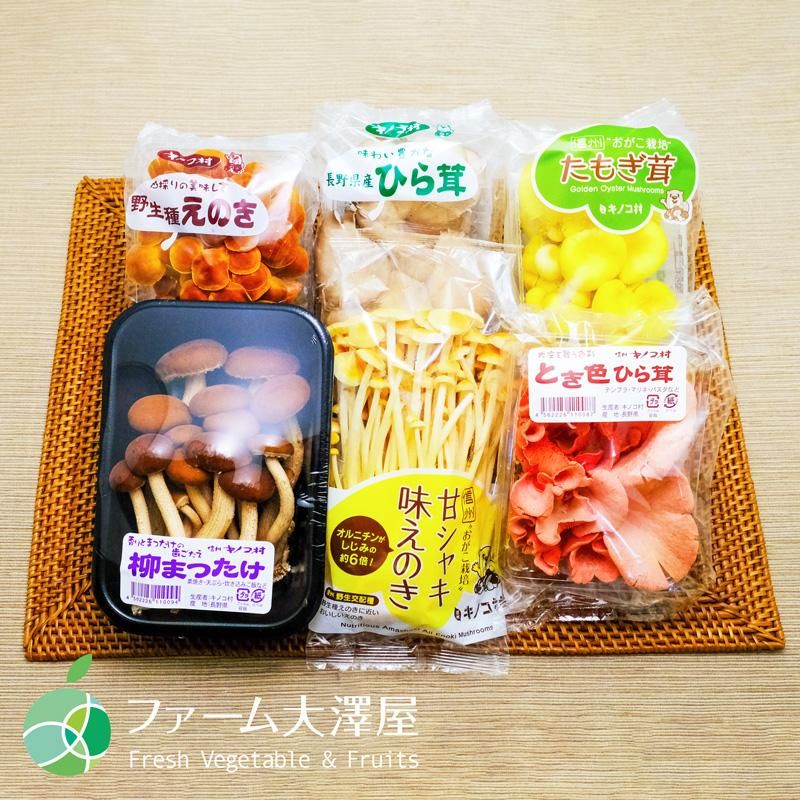 新鮮生きのこセット 6種類 各2パック（12パック） 長野県須坂市産 希少