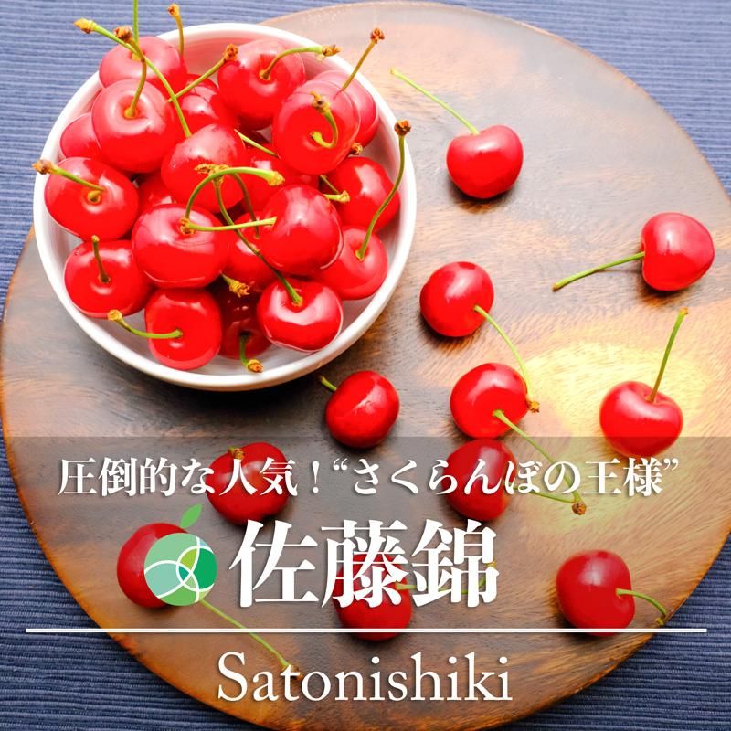 佐藤錦 さくらんぼ L-2L 秀 約200g 2パック 長野県産 - ファーム大澤屋