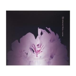 グレーヌ・ポー ブースター セラム｜ベネシード オンラインショップ