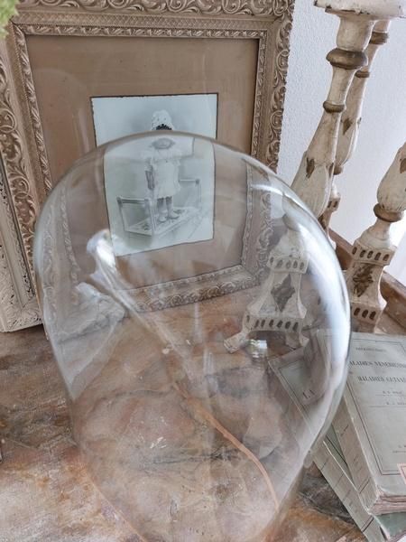 フランス製1900年代アンティークガラスドーム