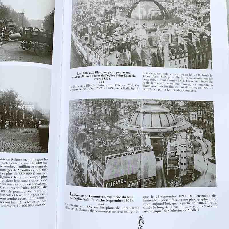 パリ写真集 大型写真集 1845-1930年 自然な光景