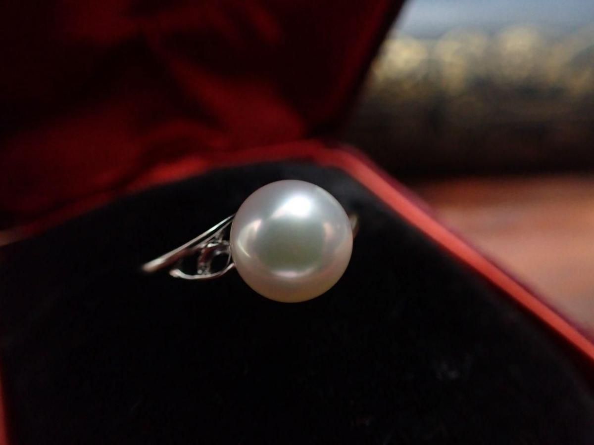 ミキモトのアコヤパールシルバー リング