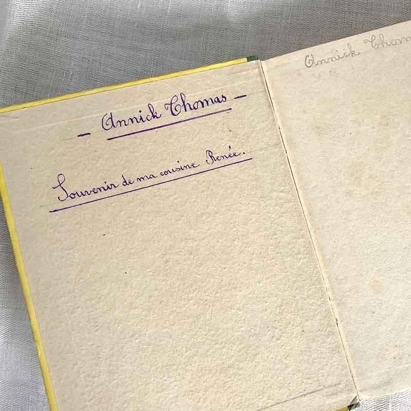 フランス古書 ハイジ レトロ挿絵 アルプスの風景 色彩豊か【山ガール】