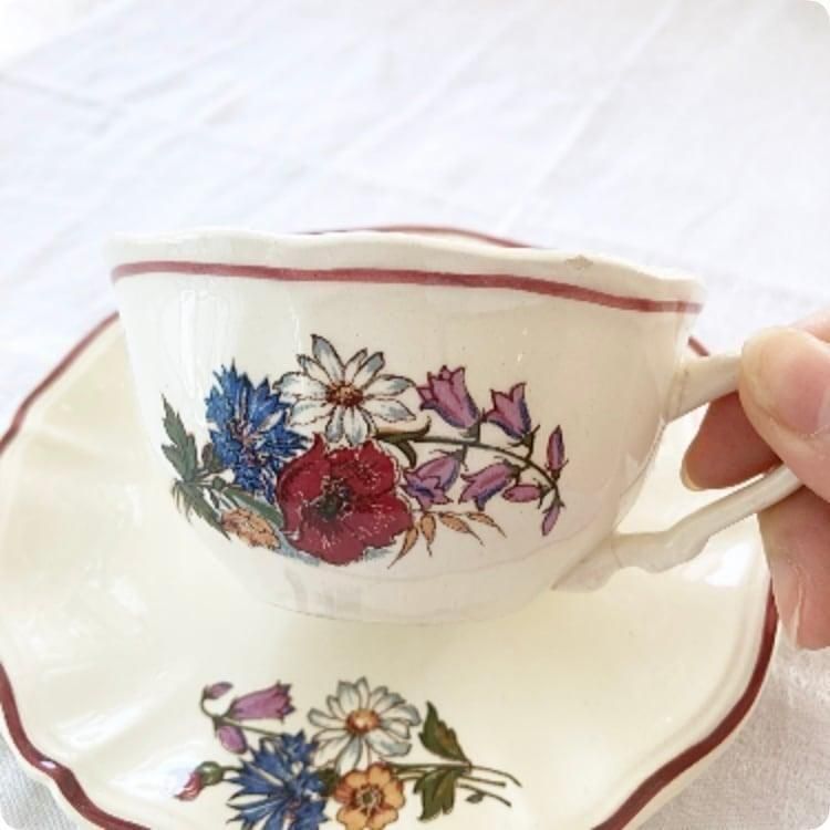 フランス直輸入アグレストシリーズ花リムカップソーサー