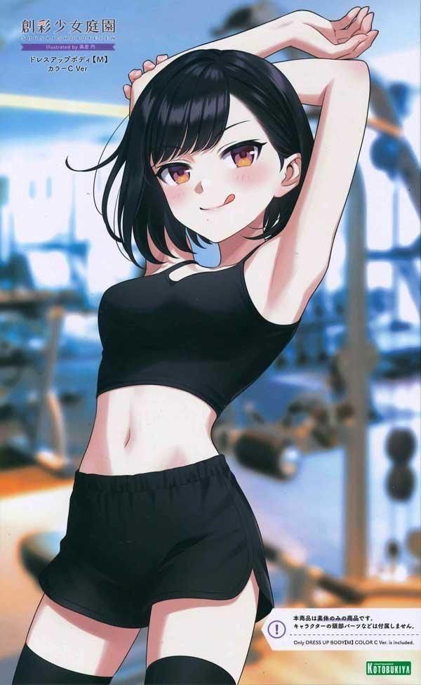 ドレスアップボディ【M】カラーC Ver. 創彩少女庭園 プラモデル