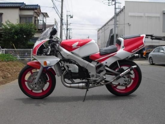 NSR250Rドッグファイトステンレスチャンバーカーボン - DOG FIGHT