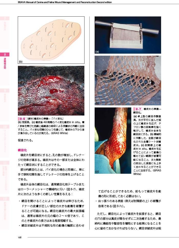 BSAVA犬と猫の創傷管理と再建外科－第2版－ - WAHA Online Shop