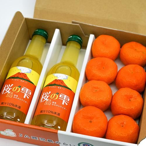 桜島小みかんサイダーと新鮮桜島小みかんセット「ぱくぱく桜島限定