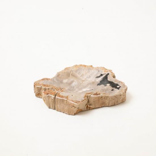 OAK Petrified Wood 【珪化木 Accessory Tray 「WS001」】 ー