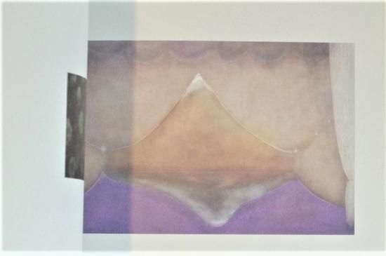 under the shadow 杉戸洋作品集 - 古書古本買取販売 書肆 とけい草