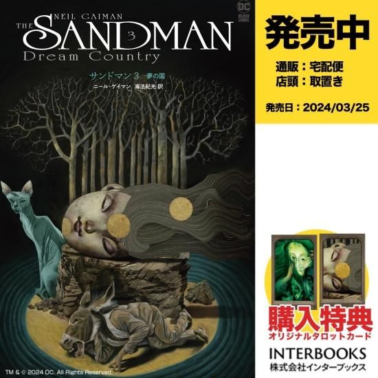 サンドマン3 夢の国 - アメコミ専門店 verse COMICS [ヴァースコミックス]