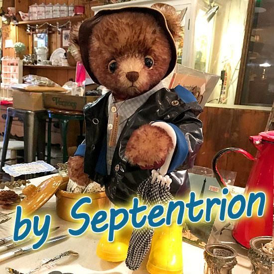やぐちせいこさんのブランド ＊ ” Septentrion ” ＊「 てでぃ ＊ Teddy