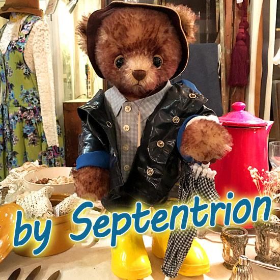 やぐちせいこさんのブランド ＊ ” Septentrion ” ＊「 てでぃ ＊ Teddy