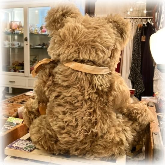 シュタイフ社 ＊ 1960〜'67年生まれのゾッティちゃん！！＊ 体長43cm