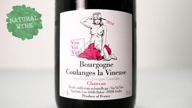 3000] Bourgogne Coulanges la Vineuse - Chanvan Rouge 2018 Vini