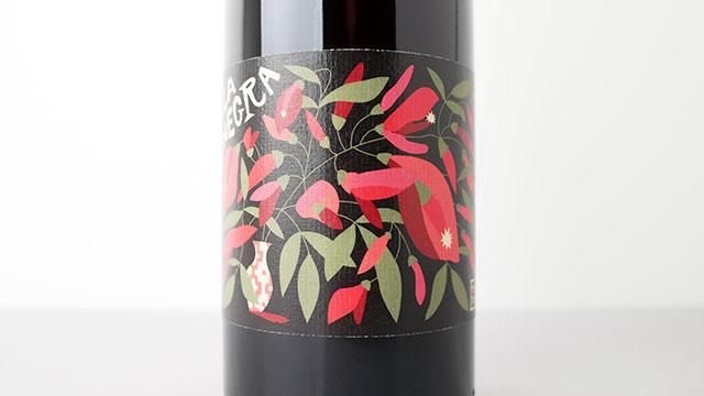 5280] La Negra 2024 YOYO / ネグラ 2024 ヨヨ - ナチュラルワイン