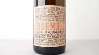 8000] Angeli 2017 MICHELE LORENZETTI / アンジェリ 2017 ミケーレ