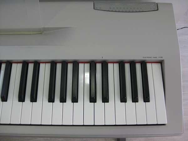 YAMAHA P-60 【大阪店での受け渡し限定です】 - 中古楽器専門店マルカート