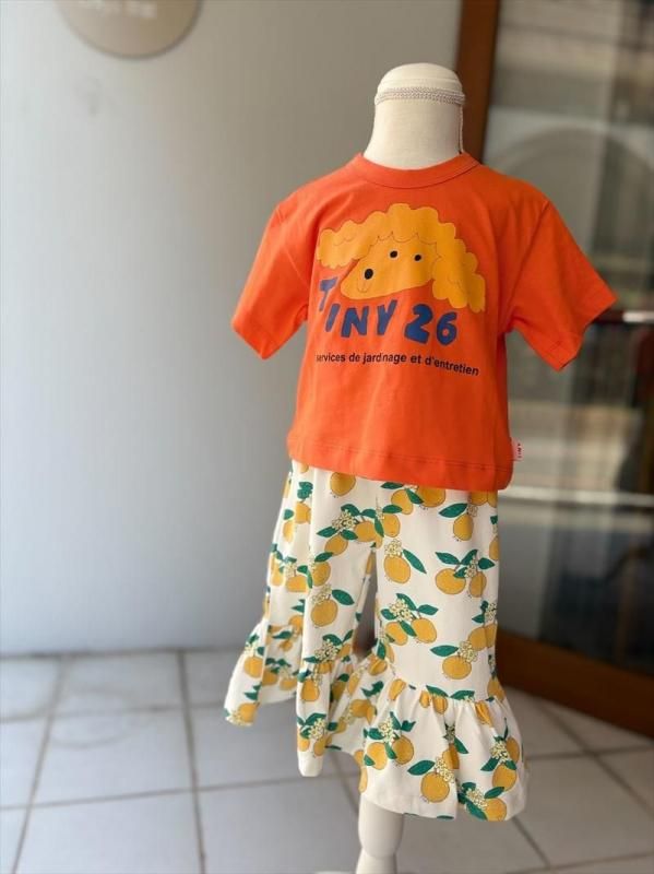 tinycottons (タイニーコットンズ) - 25AW入荷済 当日出荷 | 京都実