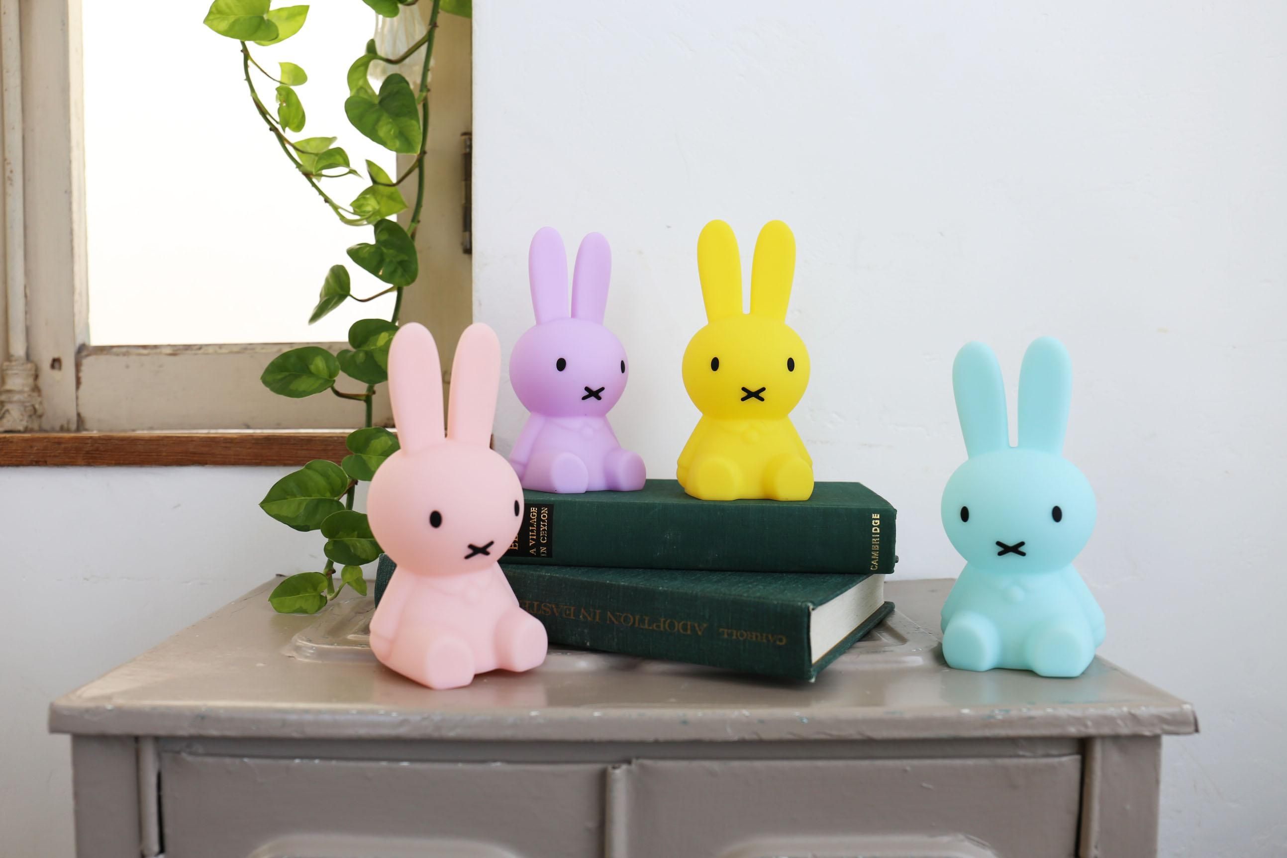 何色かは開けてからのお楽しみ！】Bundle of Light Miffy Colourful