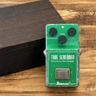 新品］Luxe / 1952-1956 Grey Tiger: Matched Pair of Wax Impregnated