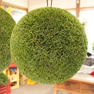 杉玉 - 杉玉の高林 オンラインストア