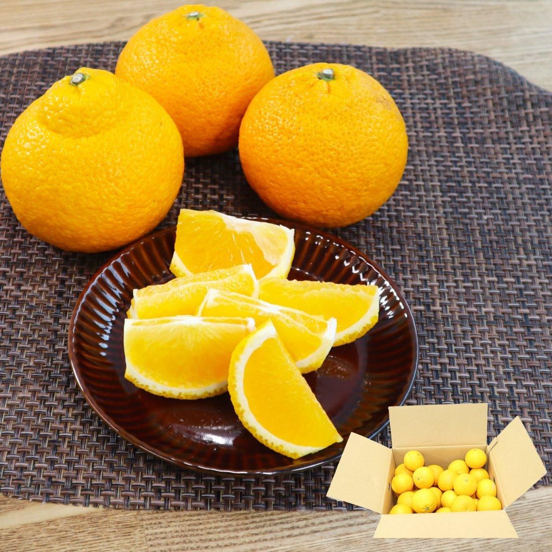 池之上果樹園 スイートスプリング - 池之上果樹園 【かごしまぐるり】