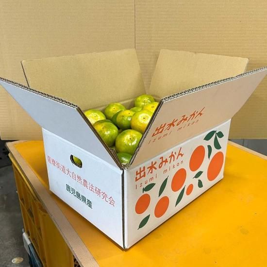出水産 極早生みかん | 甘酸っぱい秋の味 - 【かごしまぐるり】鹿児島