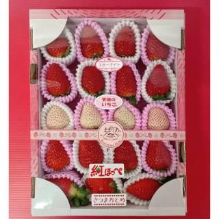 3品種いちご食べ比べセット(約400g～600g) - ままりあ農園 【かごしま