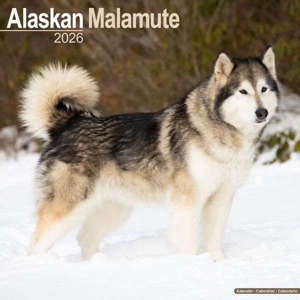 アラスカン・マラミュート 写真資料集「The Alaskan Malamute