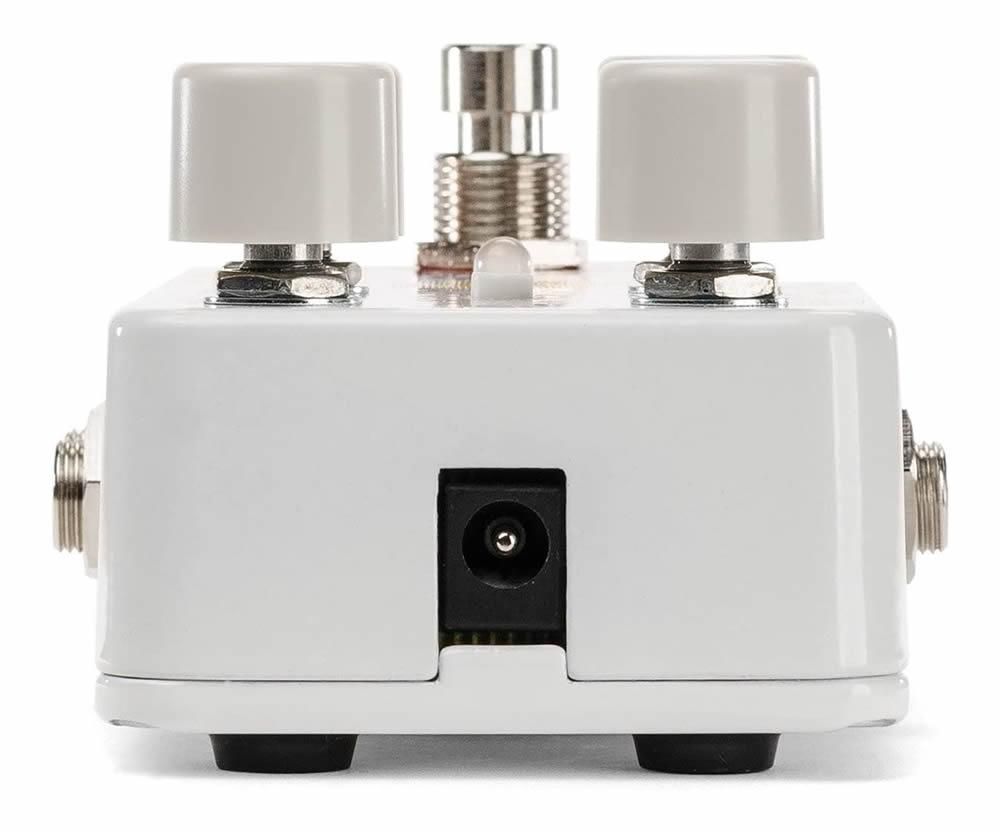 Canyon / ディレイ/ルーパー / Electro-Harmonix（エレクトロ