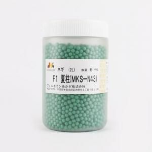 メーカー直送】夏柱(MKS-N43)【ヴィルモランみかど】コート6000粒