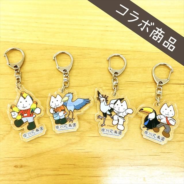 ヤマダネコ×掛川花鳥園コラボアクリルキーホルダー(4種) - 掛川花鳥園
