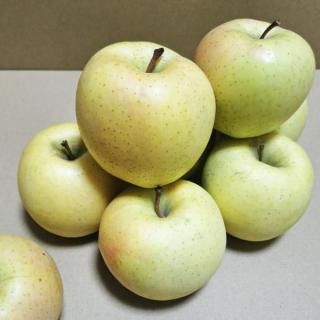 林 檎 - 鹿内農園