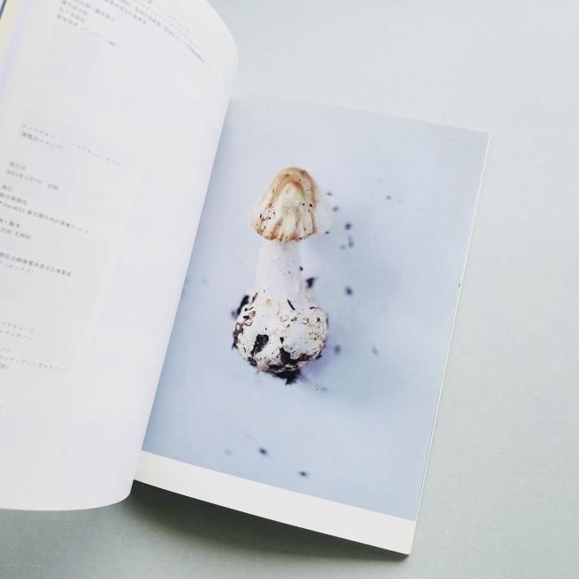 ホンマタカシ ニュー・ドキュメンタリー｜New Documentary Takashi Homma