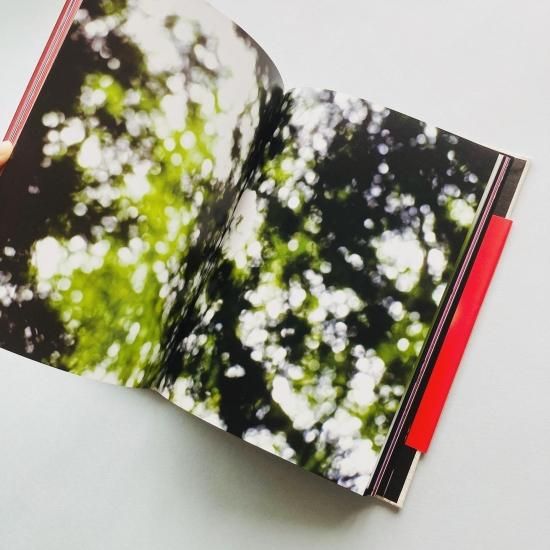 Mark Borthwick Abandom Reverie`/ マーク・ボスウィック