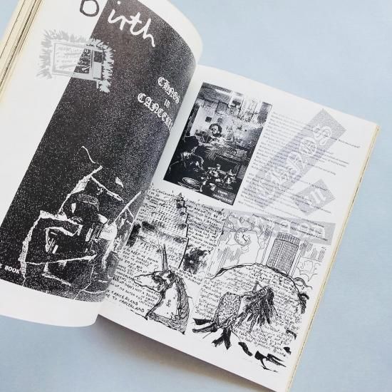 THE INCOMPLETE WORKS OF JAMIE REID : UP THEY RISE ジェイミー・リード