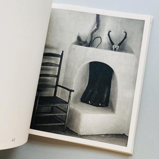 Georgia O'Keeffe : The Artist's Landscape ジョージア・オキーフ