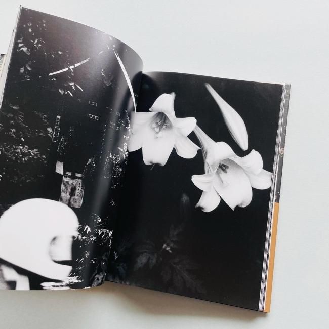 ADIEU A X アデュウ ア エックス｜中平卓馬 Takuma Nakahira